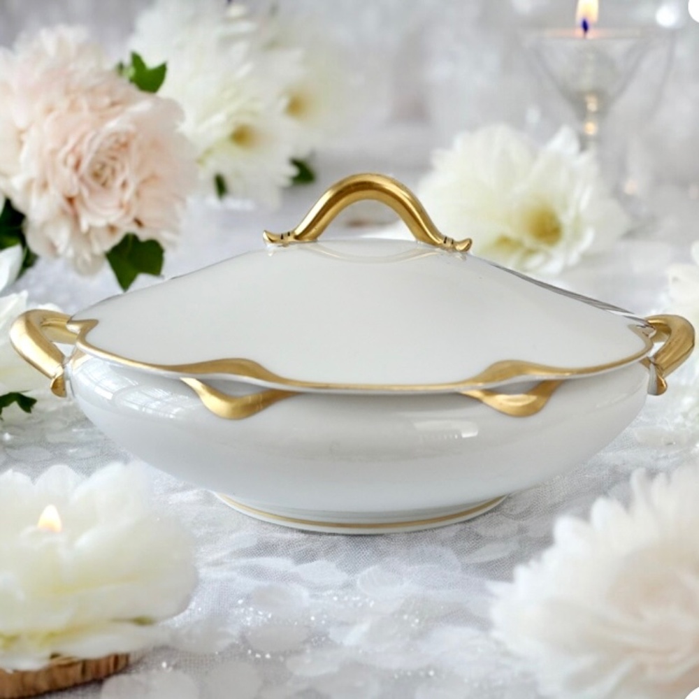HAVILAND LIMOGES Early 20th Century French Dish